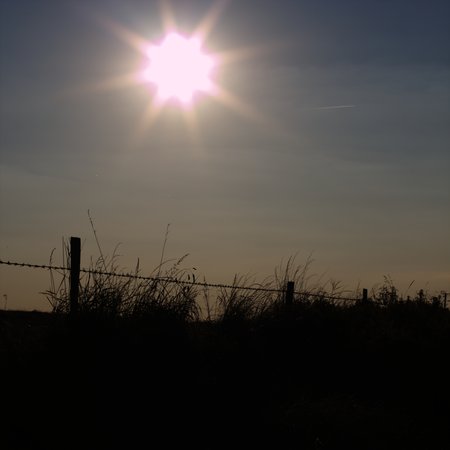Sun and Fence 12751