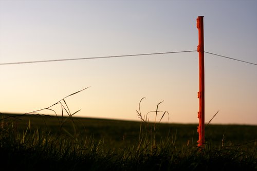 Pole 1310
