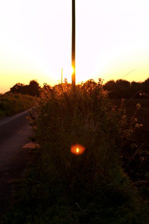 Sunset Flare 1340