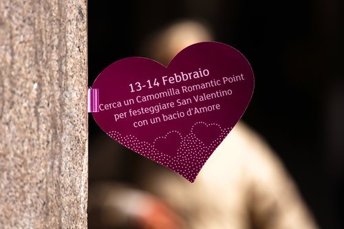Heart 4250